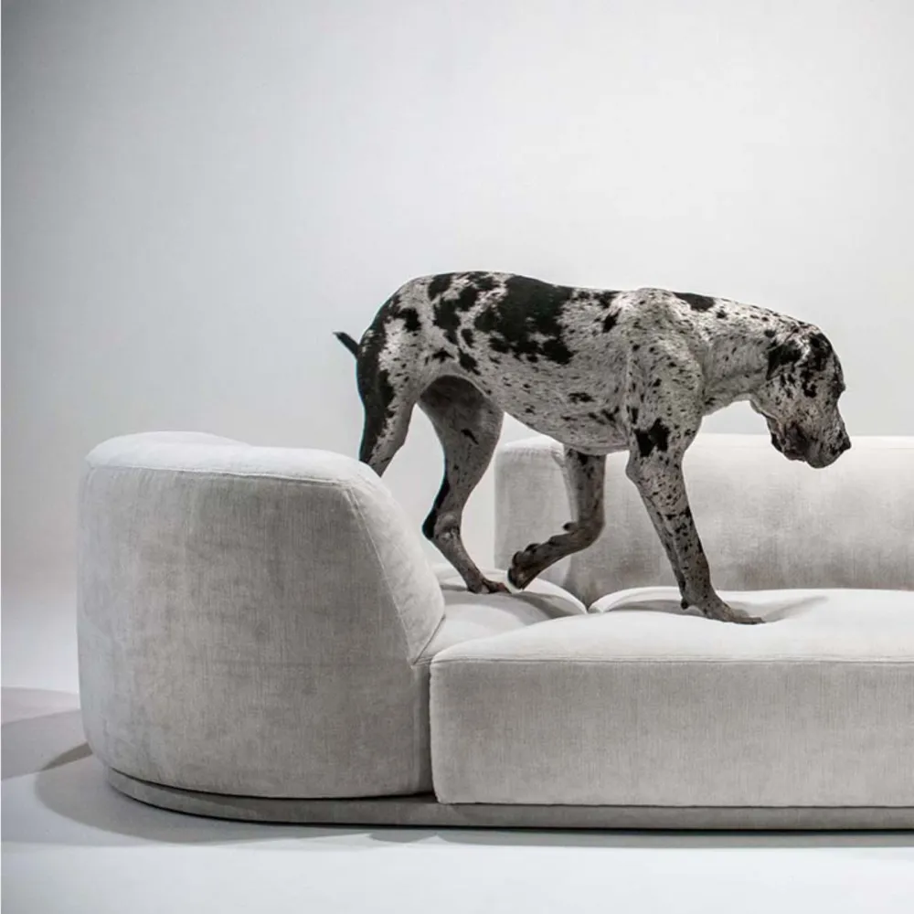 Sofa MyHome Bordone