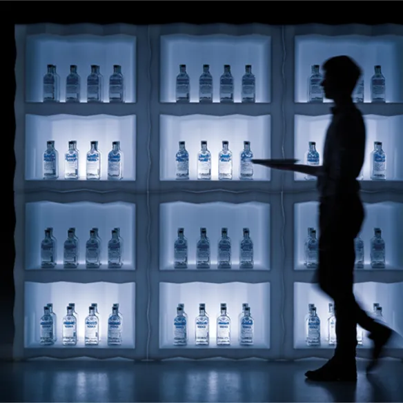 Display Plust Collectin Frozen Light