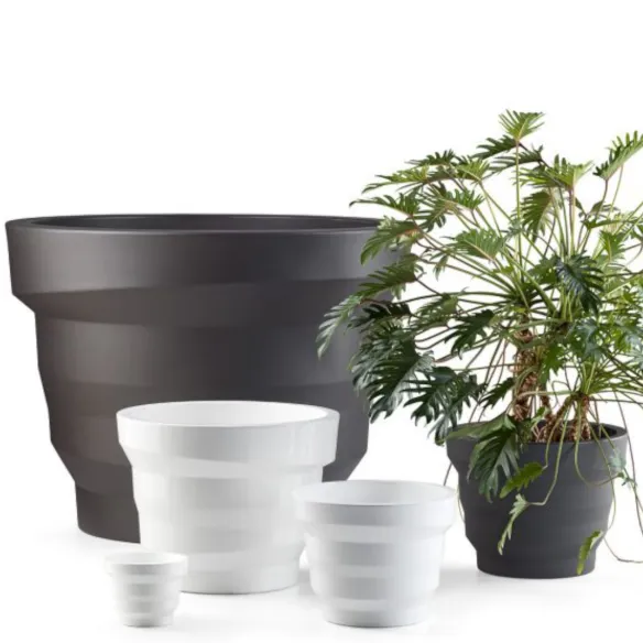 Frasco Plust Collection Rebelot