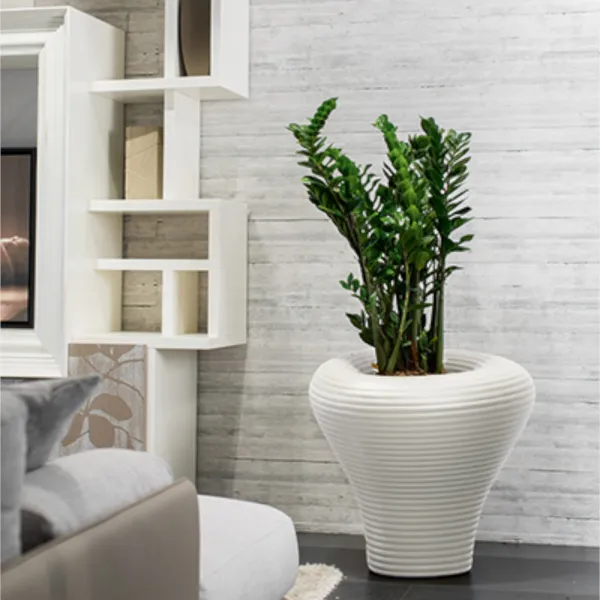 Krug Plust Collection Tambo 2