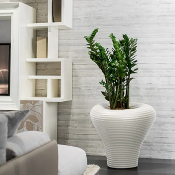 Pot Plust Collection Tambo