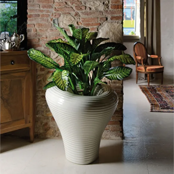 Frasco Plust Collection Tambo