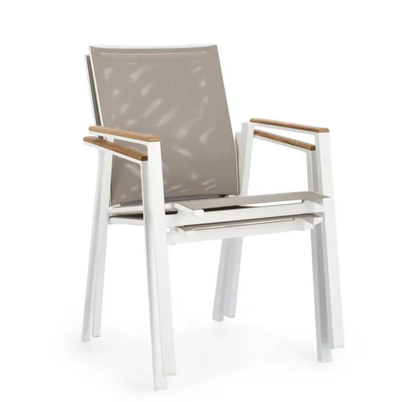 Chair Bizzotto Cameron