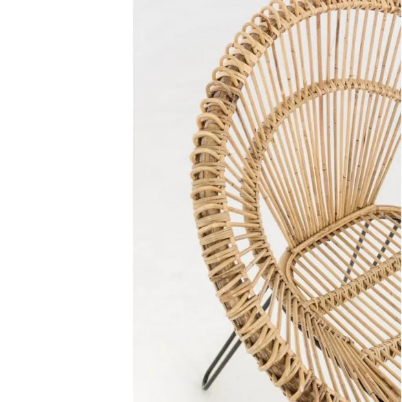 Armchair Bizzotto Esteban
