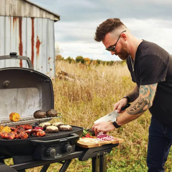 Napoleon Barbecue a gas Phantom PRO285X