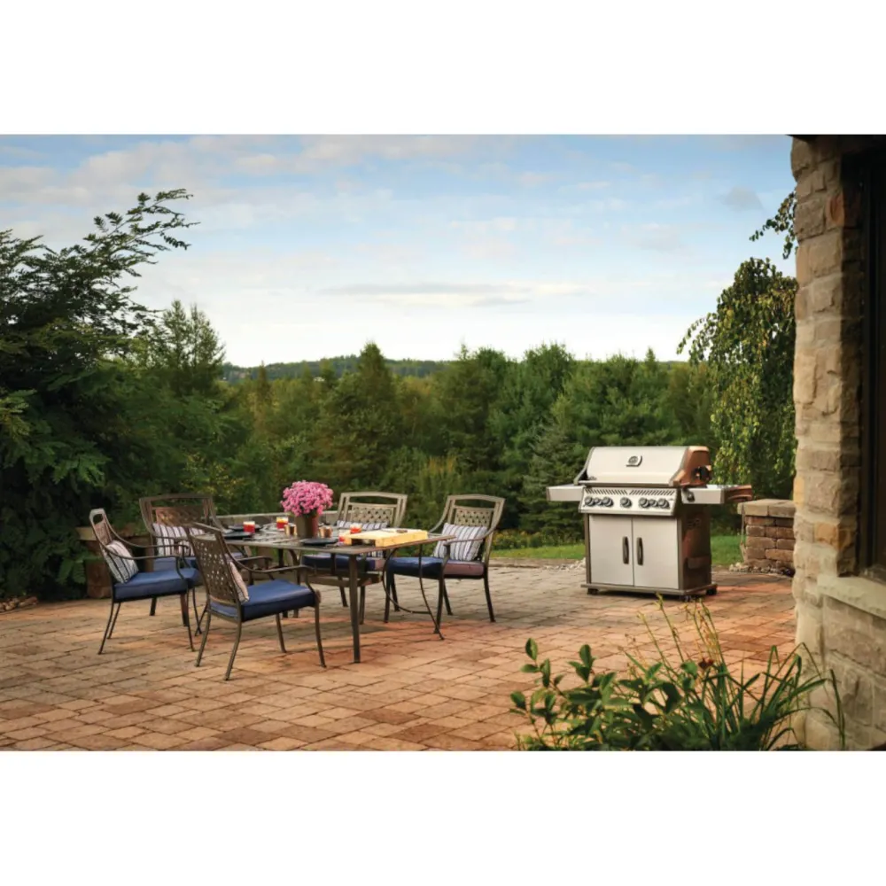 Napoleon Gas Grill Rogue RSE625RSIB
