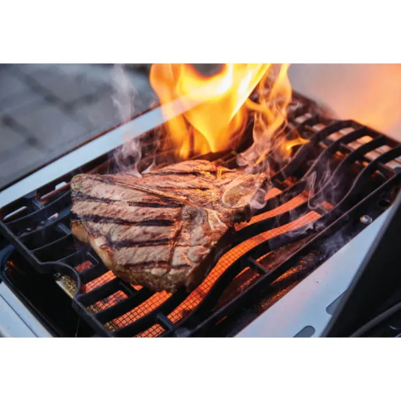 Napoleon Barbacoa de gas Rogue RSE625RSIB