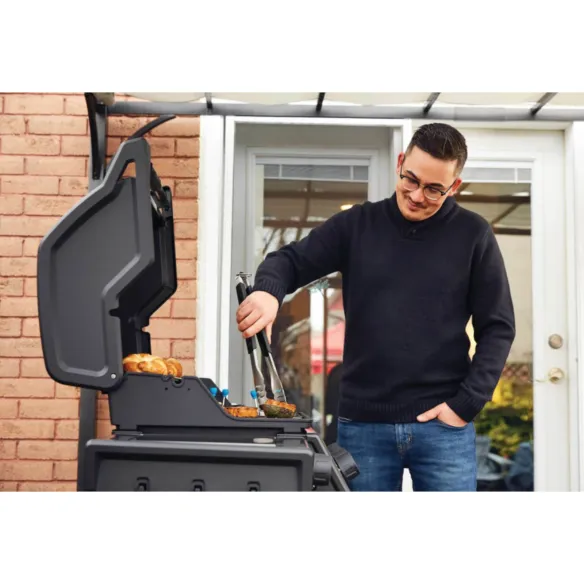 Napoleon Barbecue a gas Freestyle F425 SB