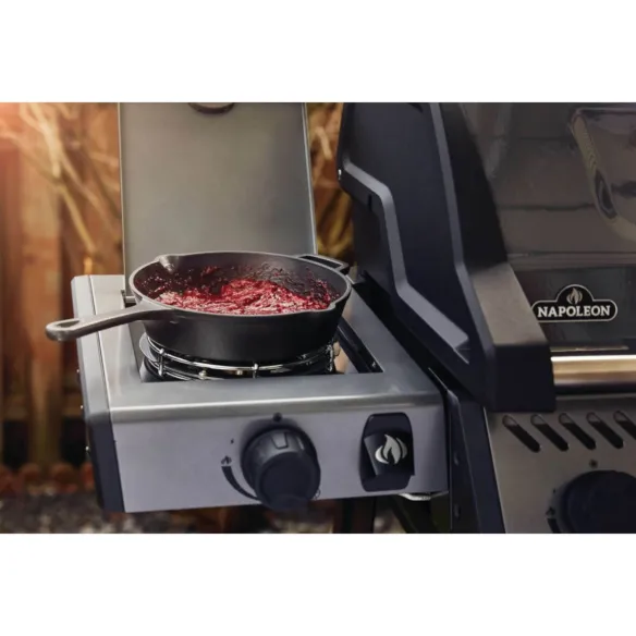 Napoleon Barbecue a gas Freestyle F425 SB