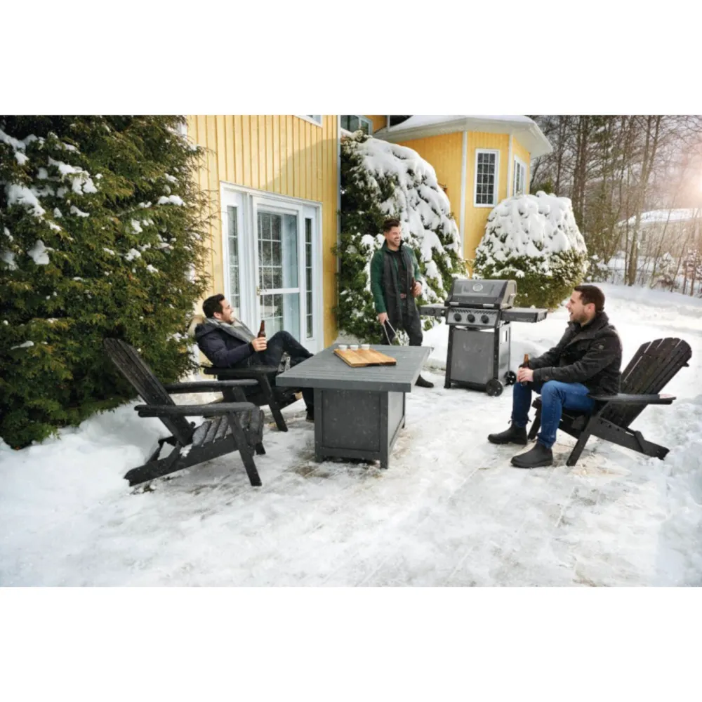 Napoleon Barbecue a gas Freestyle F365 SIB