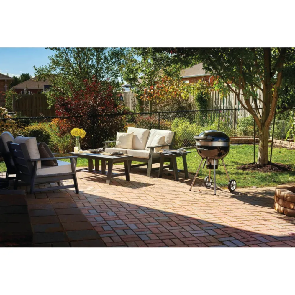 Napoleon Barbecue a carbone PRO22K-L