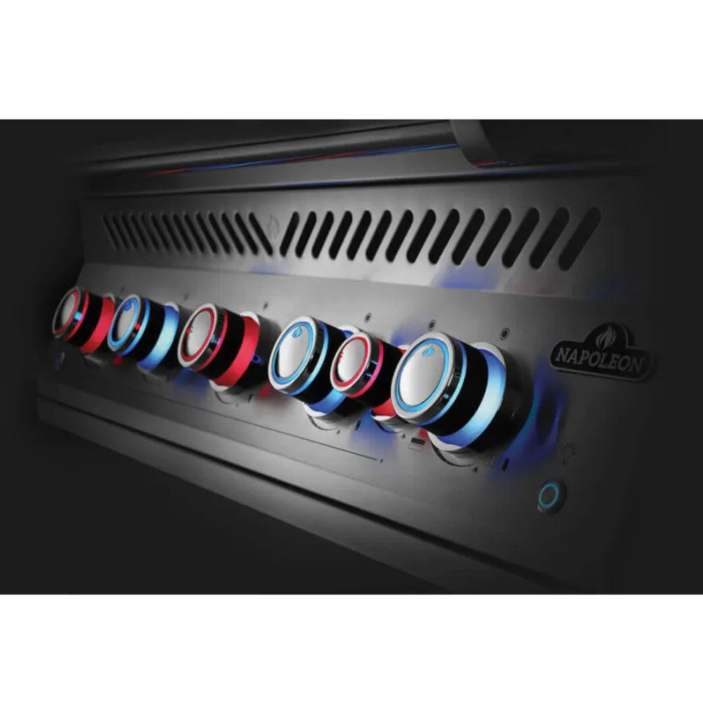 Napoleon Barbecue ad Incasso BIG32RB