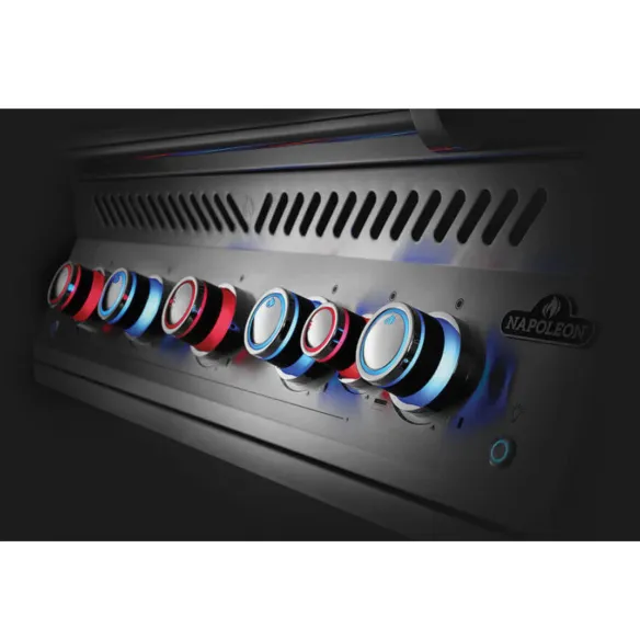 Napoleon Barbecue ad Incasso BIG32RB
