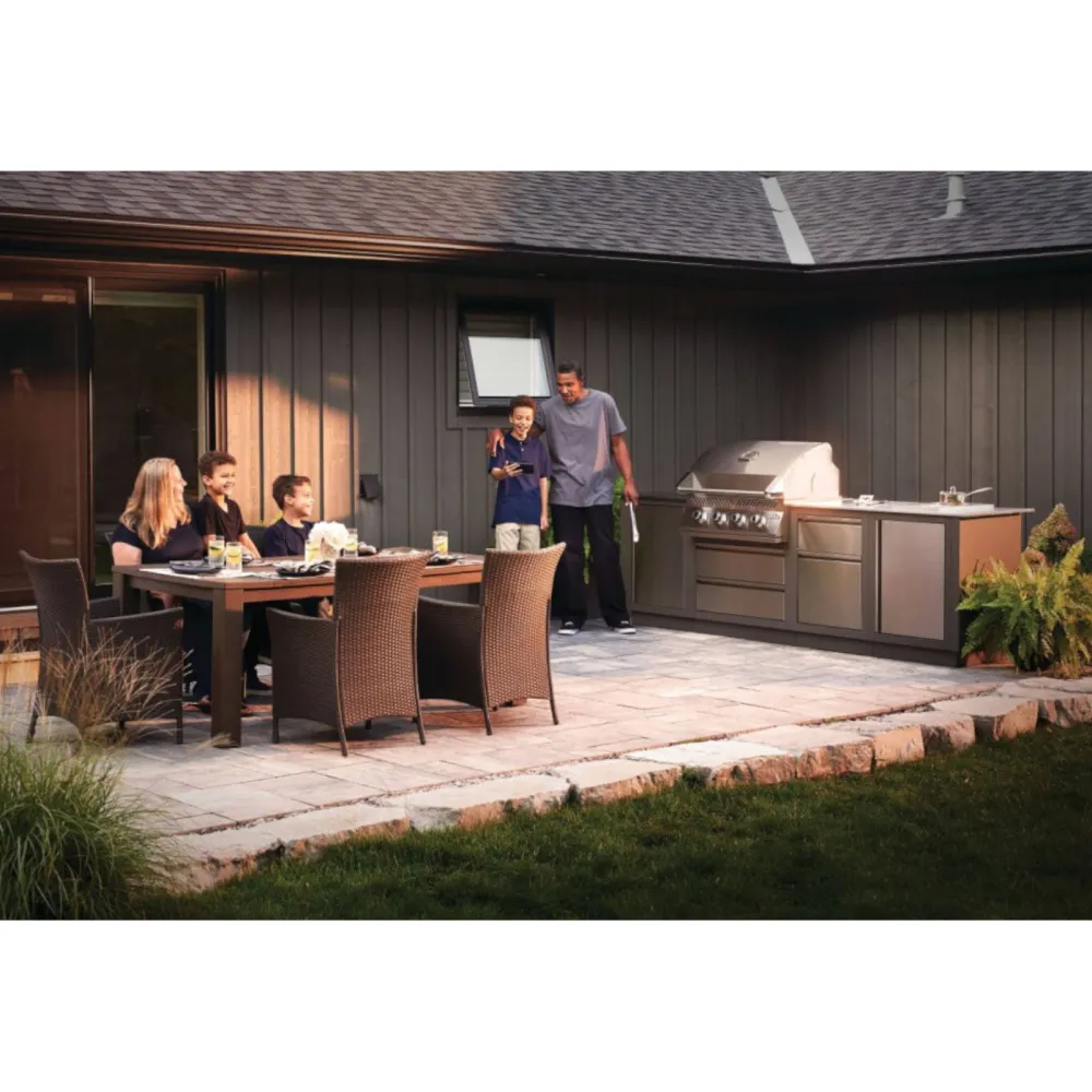 Napoleon Barbecue ad Incasso BI32 Serie 500