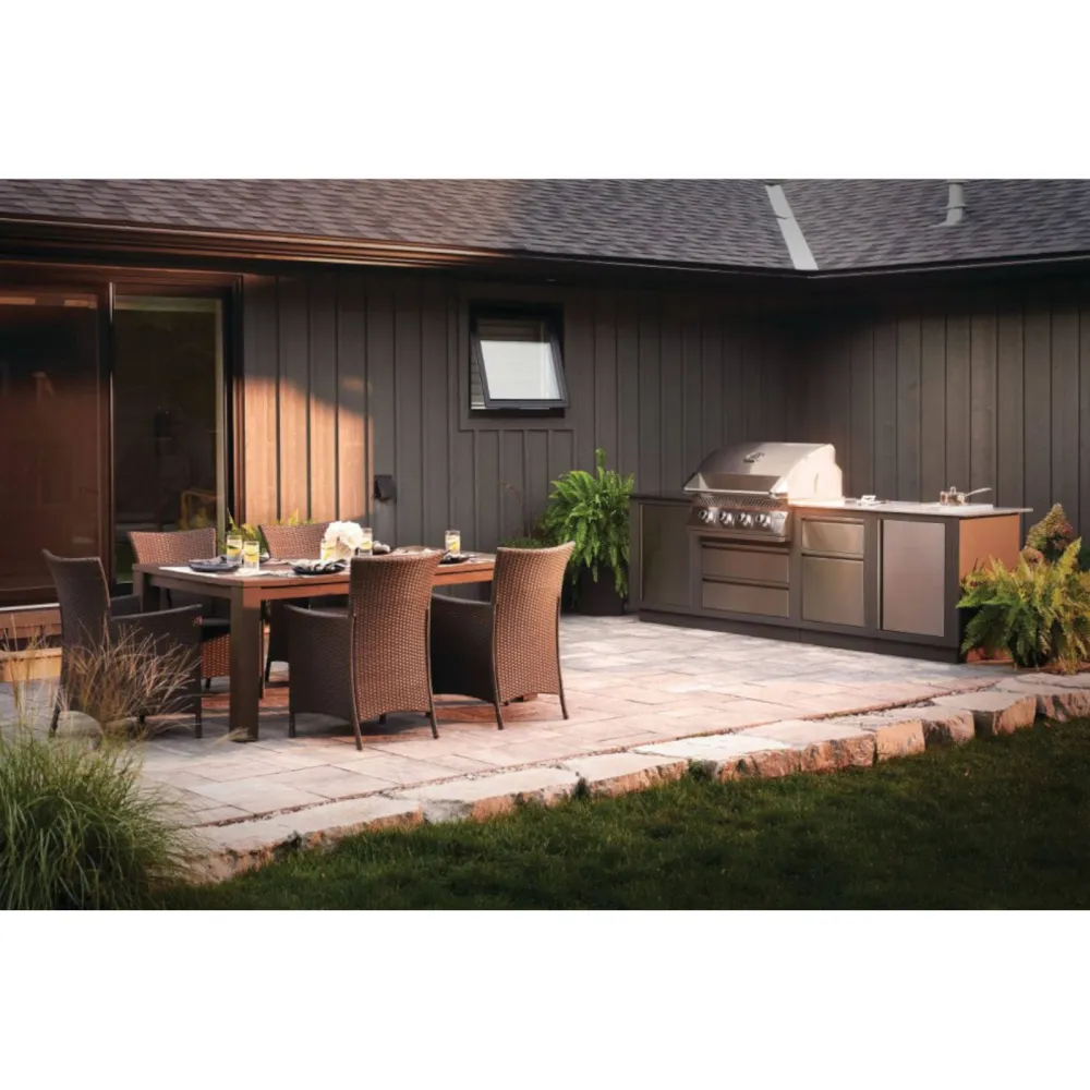 Napoleon Barbecue ad Incasso BI32 Serie 500
