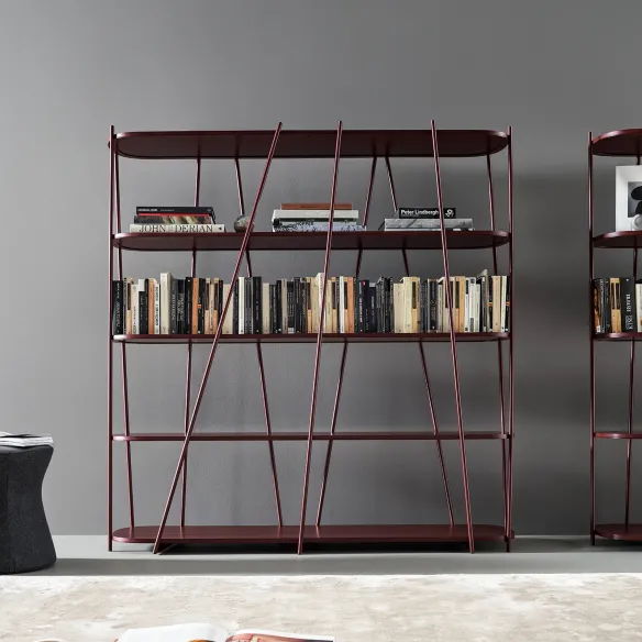 Bookshelf Bonaldo Twigs