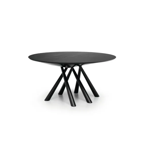 Runder Tisch Midj Forest