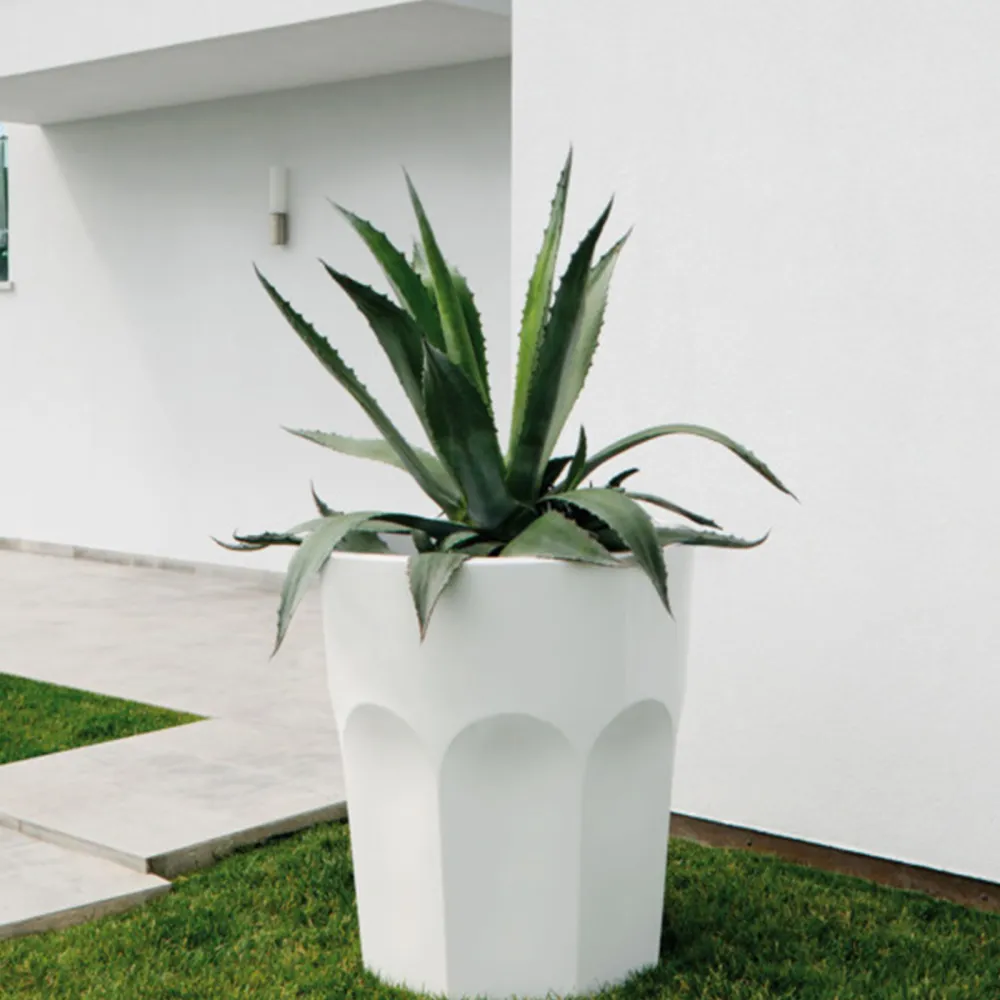 Plust Collection Pot Cubalibre light avec kit...