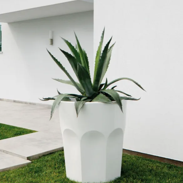 Plust Collection Frasco Cubalibre light con kit de luz LED fría