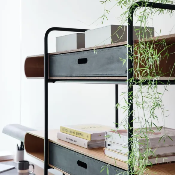 Midj Apelle bookcase