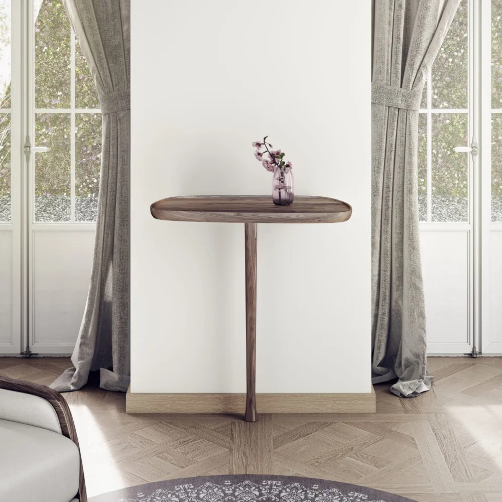 Console Nomon Consola
