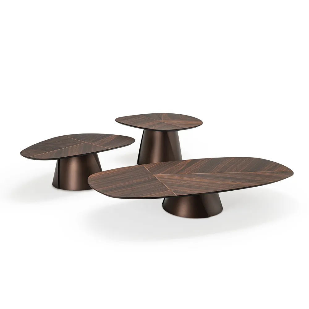 Cattelan Italia Coffee table Adrian Wood