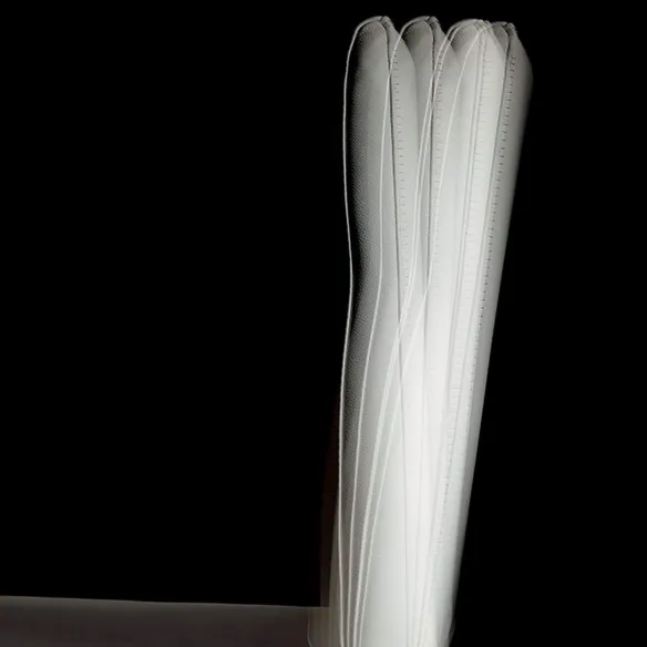 Silla  Cattelan Agatha flex  