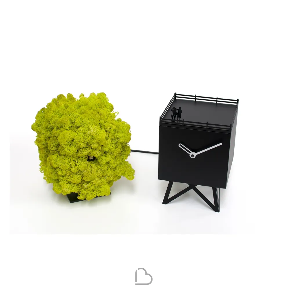 Reloj Progetti Birdwatching