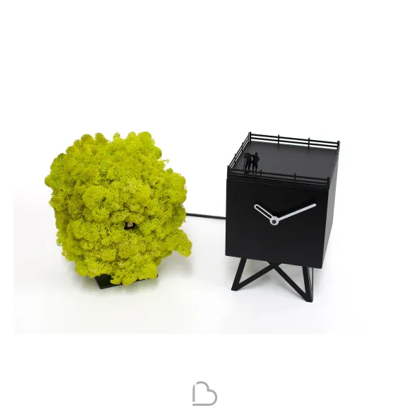 Orologio Progetti Birdwatching