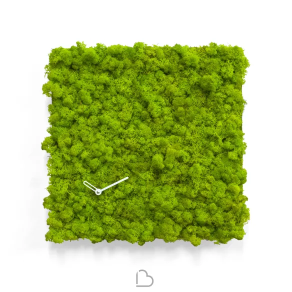 Reloj Clock_Circle Progetti