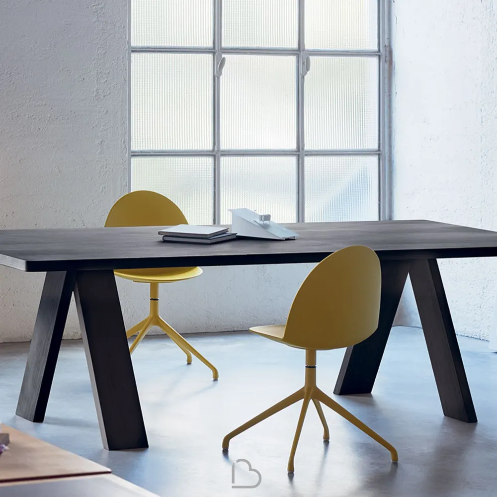 Table en Bois Segis Artful