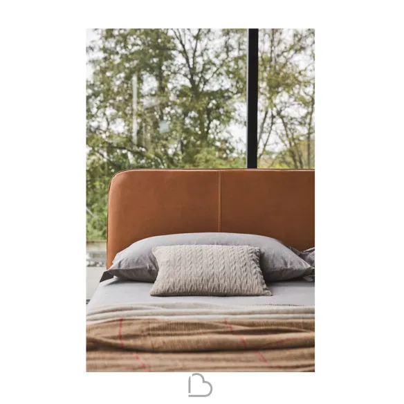 Lit Ditre Aris