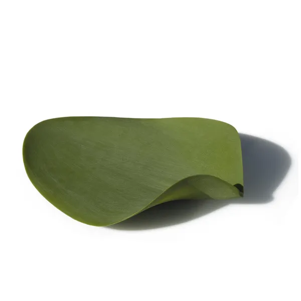 Tableware Covo Seasons Medium