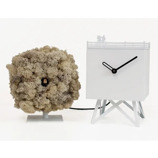 Orologio Progetti Birdwatching 2