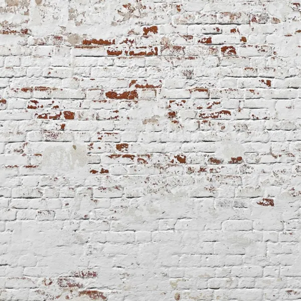 Adriani & Rossi Wallpaper Brick _ WP08113