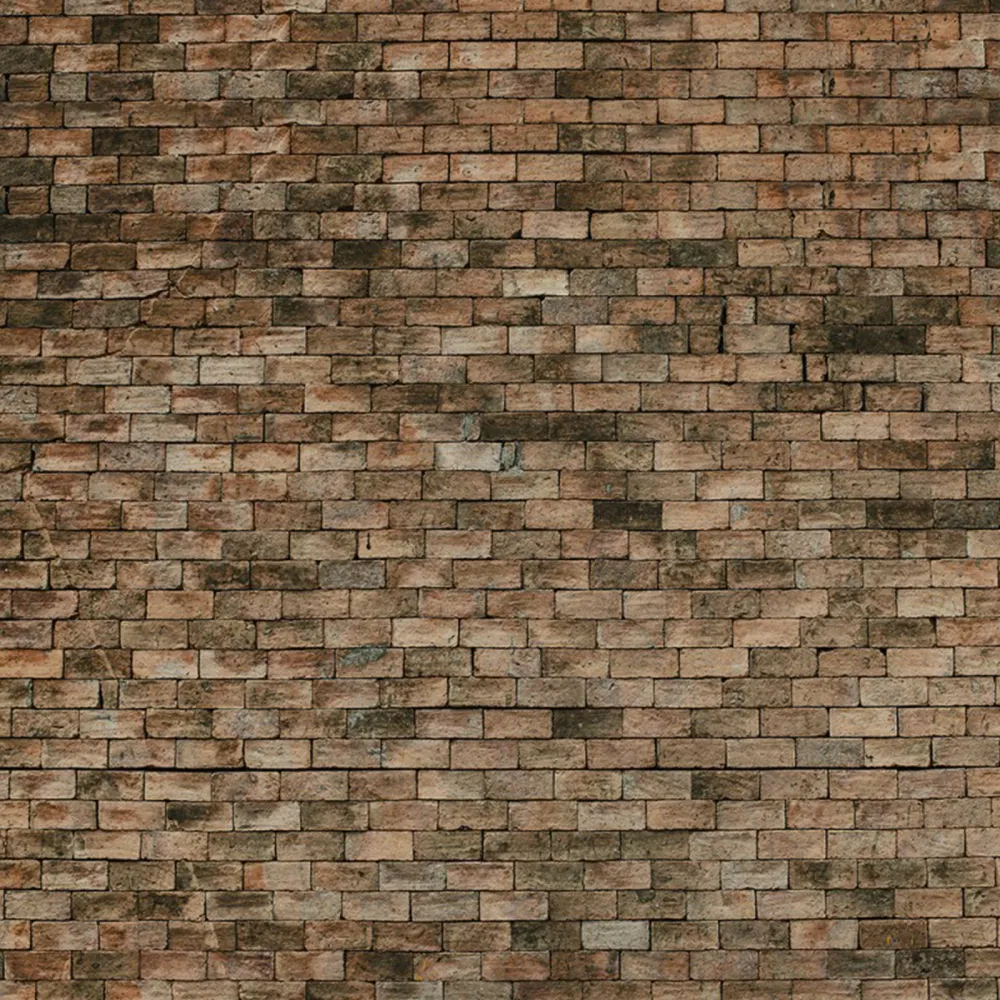 Adriani & Rossi Papier peint Brick _ WP08114