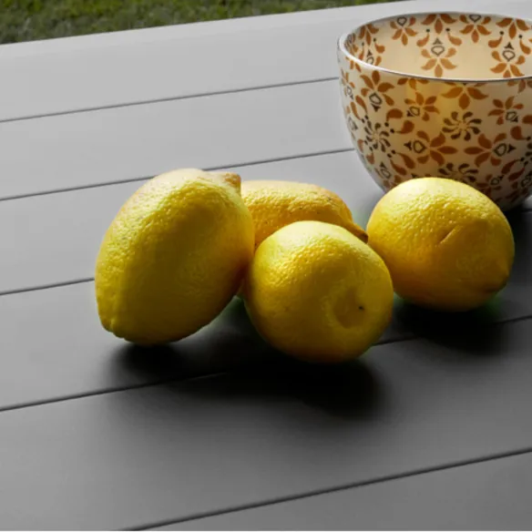 Table SCAB Design Ercole