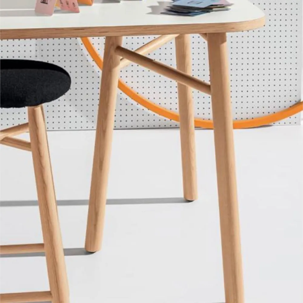 Mesa Discipline Sakti