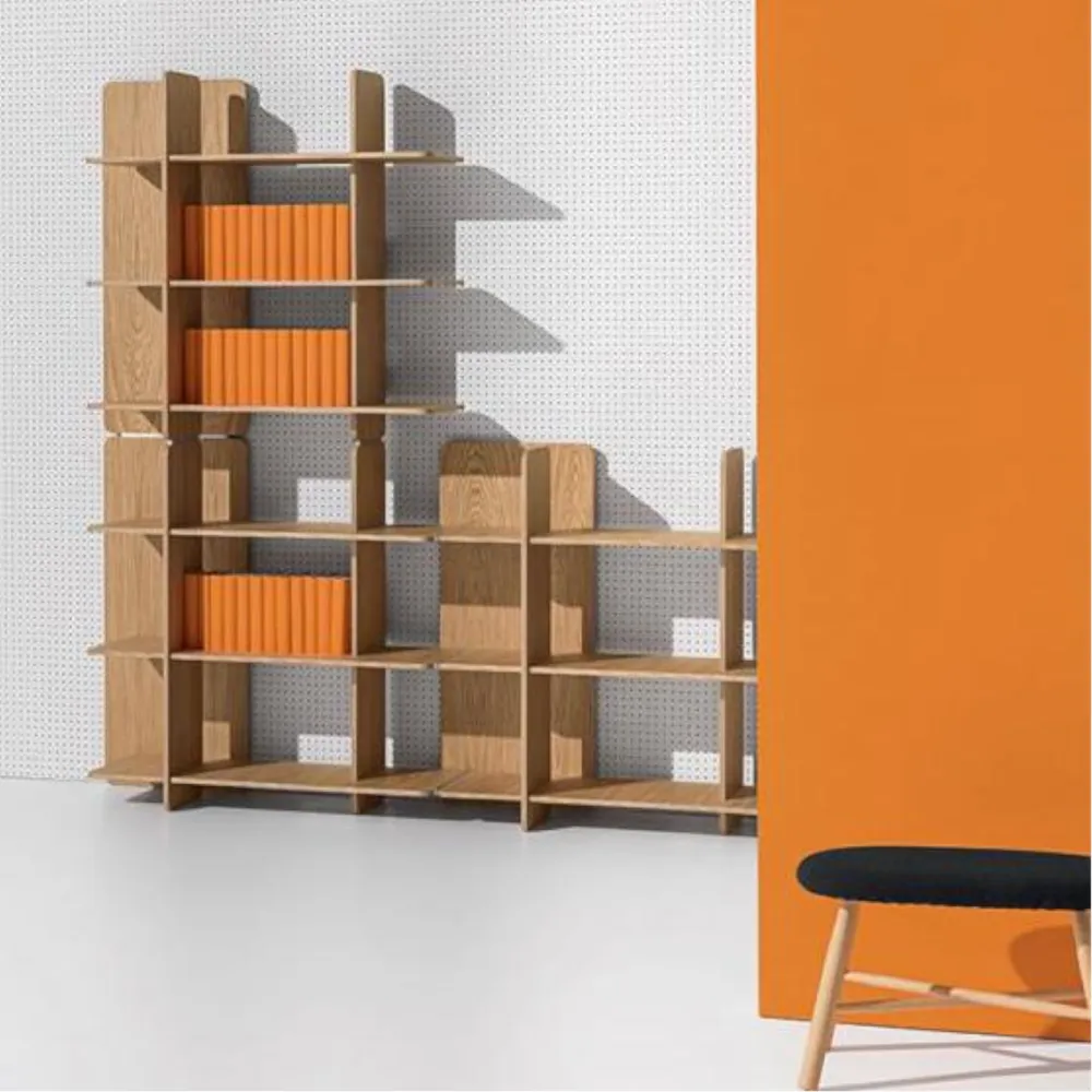 Bookshelf Discipline Axis