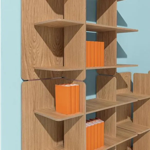 Bookshelf Discipline Axis