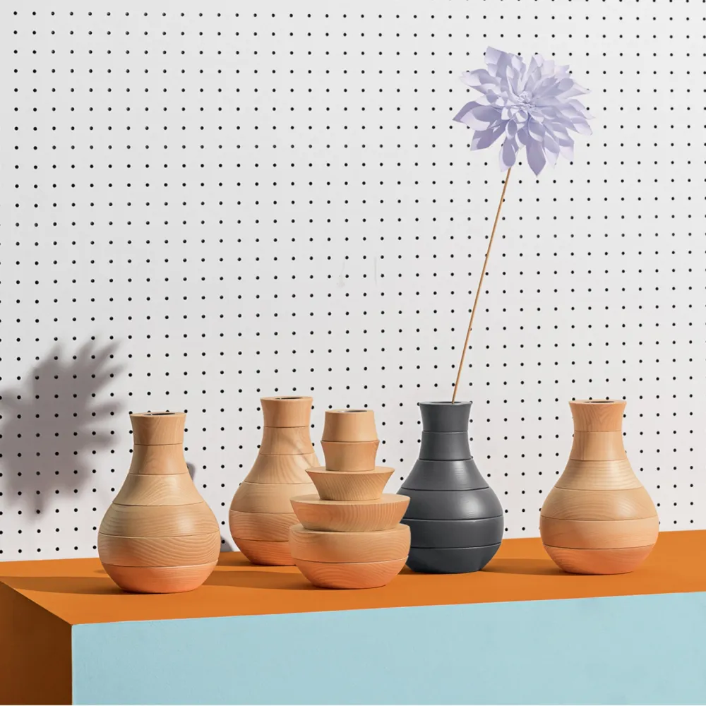 Vaso Discipline Toy