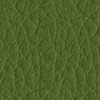 Synthetic Leather ECP - 17 Olive