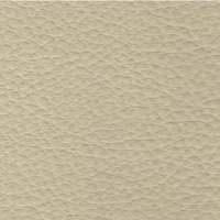 Synthetic Leather ECP - 04 Beige