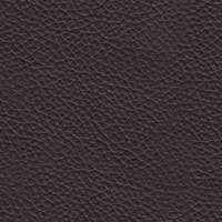Leather - 891 Dark brown