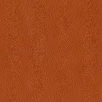Eco-leather - Happy Time - Time - 07 Orange