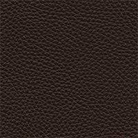 Dark brown leather