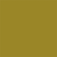 X05 - LACQUERED Opaque Mustard