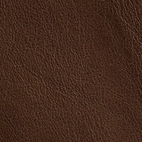 Leather - Cat. B - Leather b Anilina - 3102