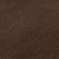 Leather - Cat. B - Leather b Anilina - 3103