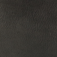 Leather - Cat. B - Leather b Anilina - 3152
